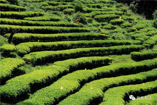 微信图片_20200528171736 微信图片_20200528171736