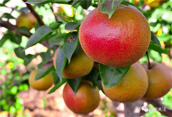 微信图片_20200528171742 微信图片_20200528171742