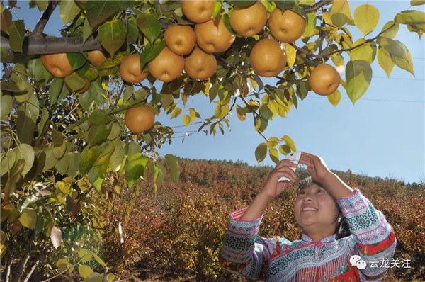 微信图片_20200528171745 微信图片_20200528171745