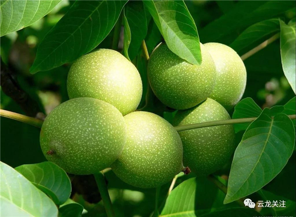 微信图片_20200528171749 微信图片_20200528171749