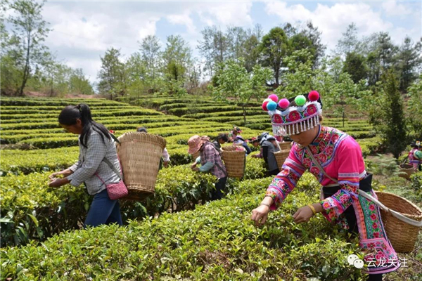 微信图片_20200528171752 微信图片_20200528171752