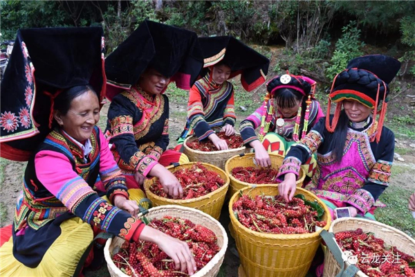 微信图片_20200528171758 微信图片_20200528171758