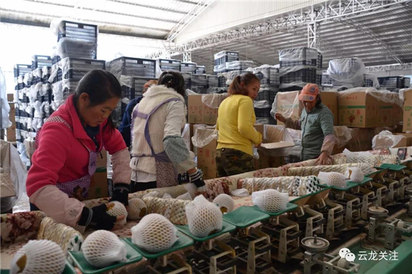 微信图片_20200528171802 微信图片_20200528171802