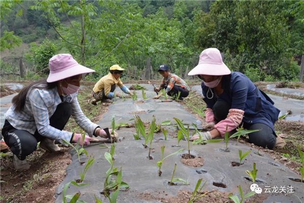 微信图片_20200528171808 微信图片_20200528171808