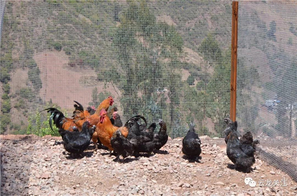 微信图片_20200528171822 微信图片_20200528171822