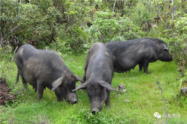 微信图片_20200528171825 微信图片_20200528171825