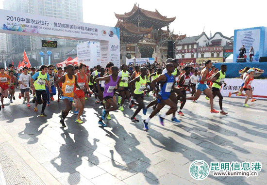 2015年昆马比赛 资料图 2015年昆马比赛 资料图