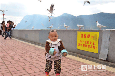 跑出城市新高度 上合昆马赛道秀云南骄傲