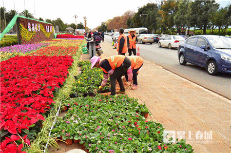跑出城市新高度 上合昆马赛道秀云南骄傲