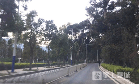 跑出城市新高度 上合昆马赛道秀云南骄傲