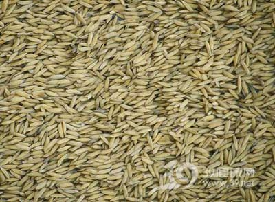 8招助你每天多吃3倍膳食纤维