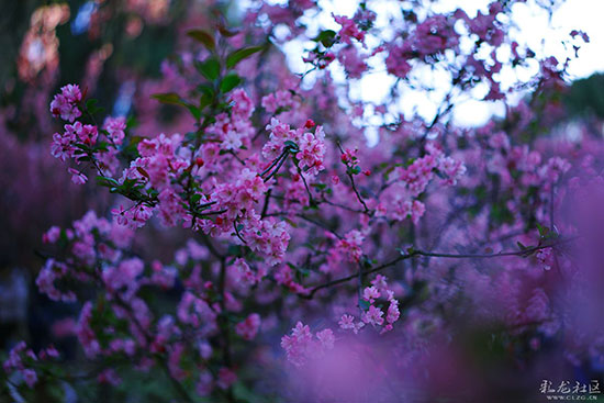 昆明,蓝天,碧水,生态建设,宜居,绿地,公园,我家昆明这五年 昆明,蓝天,碧水,生态建设,宜居,绿地,公园,我家昆明这五年