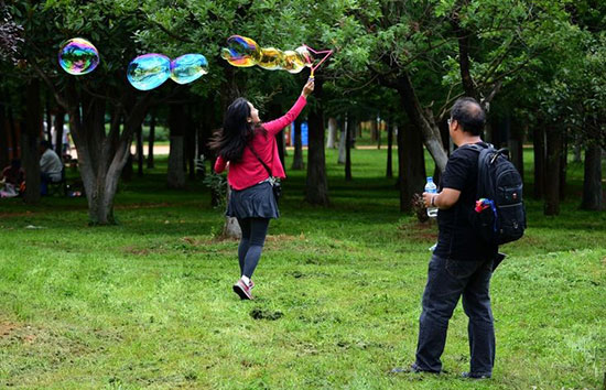 昆明,蓝天,碧水,生态建设,宜居,绿地,公园,我家昆明这五年 昆明,蓝天,碧水,生态建设,宜居,绿地,公园,我家昆明这五年