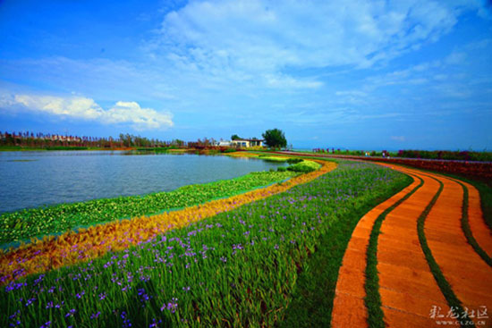 昆明,蓝天,碧水,生态建设,宜居,绿地,公园,我家昆明这五年 昆明,蓝天,碧水,生态建设,宜居,绿地,公园,我家昆明这五年