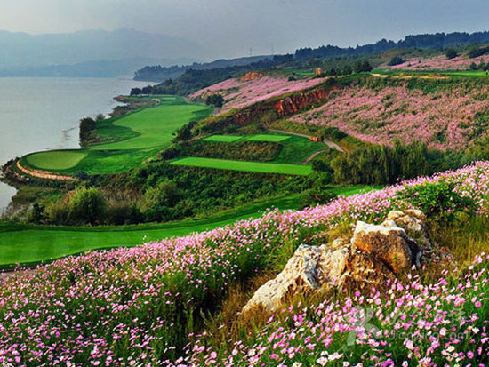 昆明,蓝天,碧水,生态建设,宜居,绿地,公园,我家昆明这五年 昆明,蓝天,碧水,生态建设,宜居,绿地,公园,我家昆明这五年