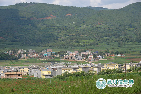 红色基因引领柯渡发展向好