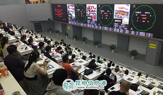 斗南花卉电子交易中心日拍卖量突破百万枝