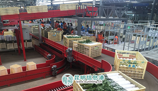 斗南花卉电子交易中心日拍卖量突破百万枝