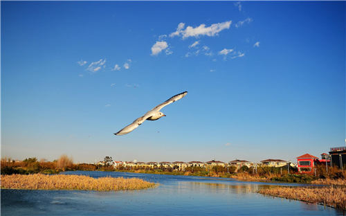 昆明,滇池,水质 昆明,滇池,水质