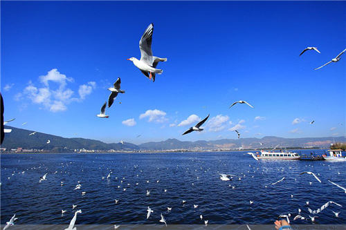 昆明,滇池,水质 昆明,滇池,水质