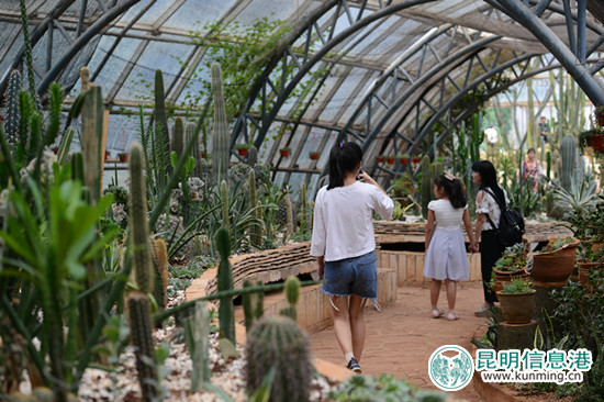 金殿全新改造多肉温室