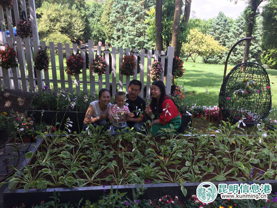 金殿举办“花园节” 10个家庭搭建“私家花园”