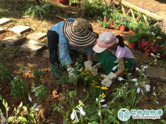 金殿举办“花园节” 10个家庭搭建“私家花园”