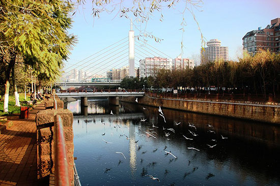 我家盘龙这五年:一江清流润万物大美盘龙正腾飞 我家盘龙这五年:一江清流润万物大美盘龙正腾飞