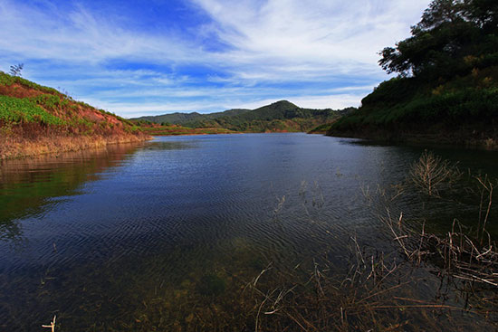 我家盘龙这五年:一江清流润万物大美盘龙正腾飞 我家盘龙这五年:一江清流润万物大美盘龙正腾飞