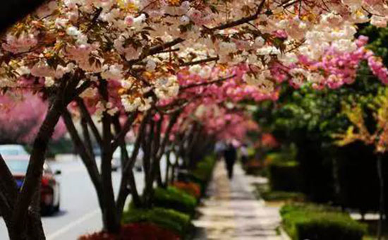 我家盘龙这五年:一江清流润万物大美盘龙正腾飞 我家盘龙这五年:一江清流润万物大美盘龙正腾飞