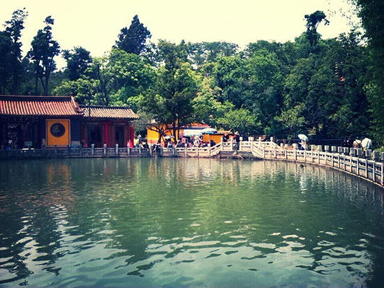 我家盘龙这五年:一江清流润万物大美盘龙正腾飞 我家盘龙这五年:一江清流润万物大美盘龙正腾飞