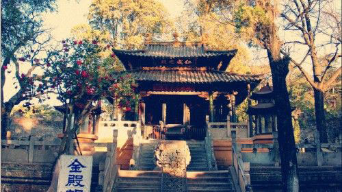 我家盘龙这五年:一江清流润万物大美盘龙正腾飞 我家盘龙这五年:一江清流润万物大美盘龙正腾飞