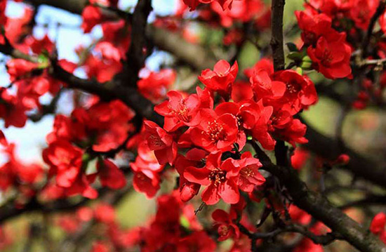 我家盘龙这五年:一江清流润万物大美盘龙正腾飞 我家盘龙这五年:一江清流润万物大美盘龙正腾飞