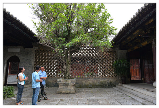 建水西庄镇新房古村 黄氏宗祠“凤在上龙在下”
