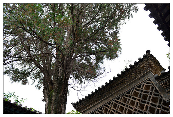 建水西庄镇新房古村 黄氏宗祠“凤在上龙在下”