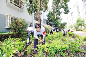 呈贡郎家营社区党委群策群力 7年志愿服务诠释合格党员 呈贡郎家营社区党委群策群力 7年志愿服务诠释合格党员