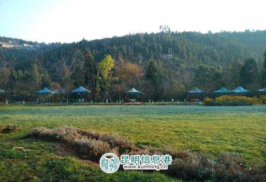 中秋到郊野公园看书吃烧烤 感受郊野秋韵 中秋到郊野公园看书吃烧烤 感受郊野秋韵