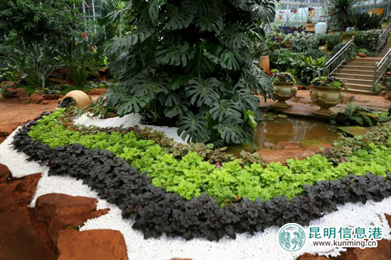金殿花园节落幕 金秋观叶植物展精彩亮相