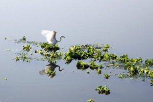 昆明获'亚洲最受欢迎旅游城市'称号 半年斩获11项殊荣