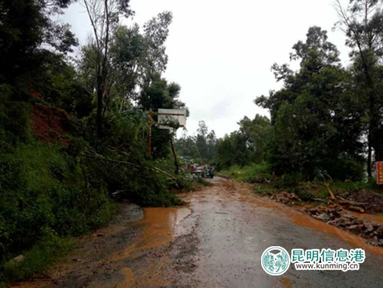 连续强降雨致楚雄多条道路中断 最大堰塞湖面积约7000亩 连续强降雨致楚雄多条道路中断 最大堰塞湖面积约7000亩