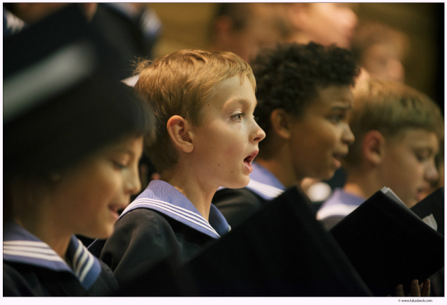 独具气质的维也纳合唱团儿童 独具气质的维也纳合唱团儿童