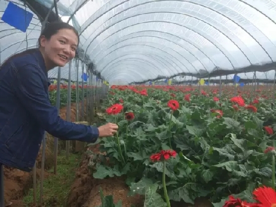 云南寻甸：红色记忆下的“国际范”脱贫