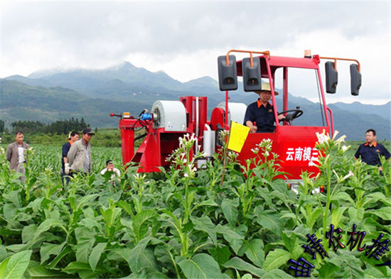 脱贫攻坚这事儿 听听云南县委书记们怎么说 脱贫攻坚这事儿 听听云南县委书记们怎么说