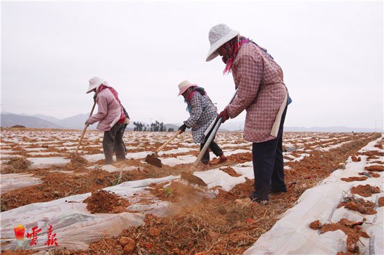 脱贫攻坚这事儿 听听云南县委书记们怎么说 脱贫攻坚这事儿 听听云南县委书记们怎么说