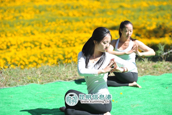 郊野公园第二届“寻香之旅”芳香万寿菊花展启幕