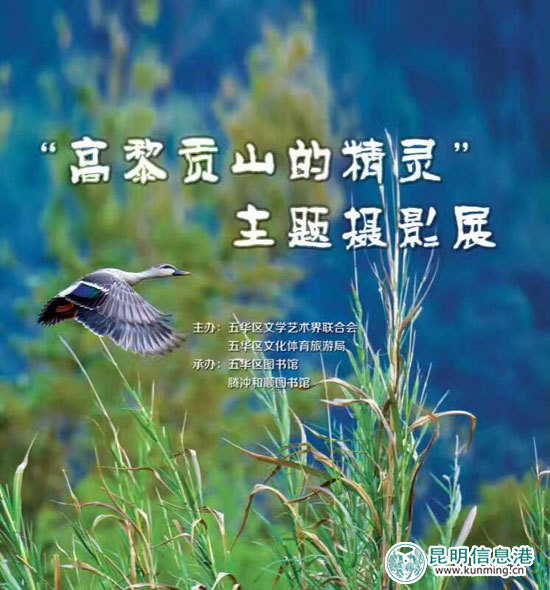 “高黎贡山的精灵”主题摄影展在五华区图书馆举行