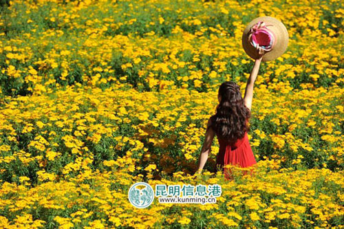 本周末红衣郎可购半价门票逛郊野公园 本周末红衣郎可购半价门票逛郊野公园