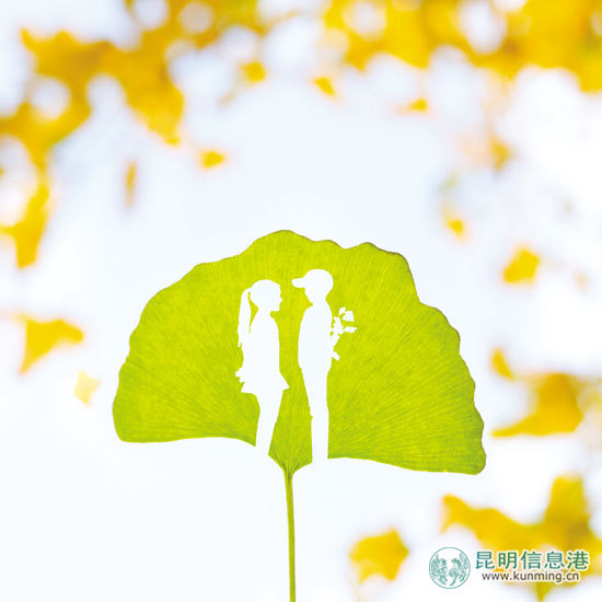 金秋时节,正是观赏银杏的好时节(创意图片) 金秋时节,正是观赏银杏的好时节(创意图片)