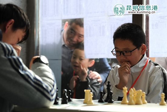 全市中小学生棋类比赛今日举行 围棋赛11月12日落子 全市中小学生棋类比赛今日举行 围棋赛11月12日落子
