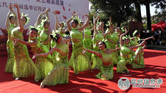 五华区,百姓欢歌,巡演